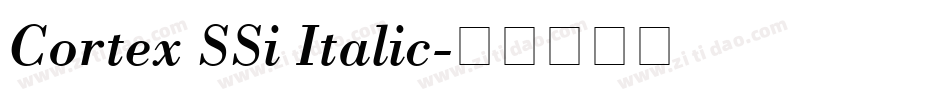 Cortex SSi Italic字体转换